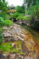 Flores 'Soa - Hot Springs' 29_10_2010 (3)